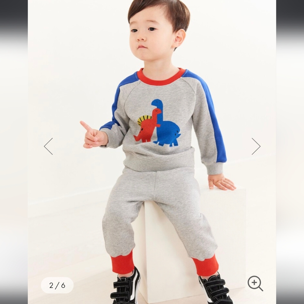 Hanna Andersson Gray Sweatshirt with Dinosaur Print - Picture 1 of 6
